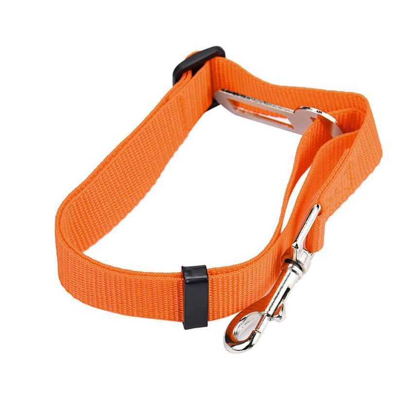 BeltPet™ - Ceinture de siège pour animal de compagnie - La bande à Milou