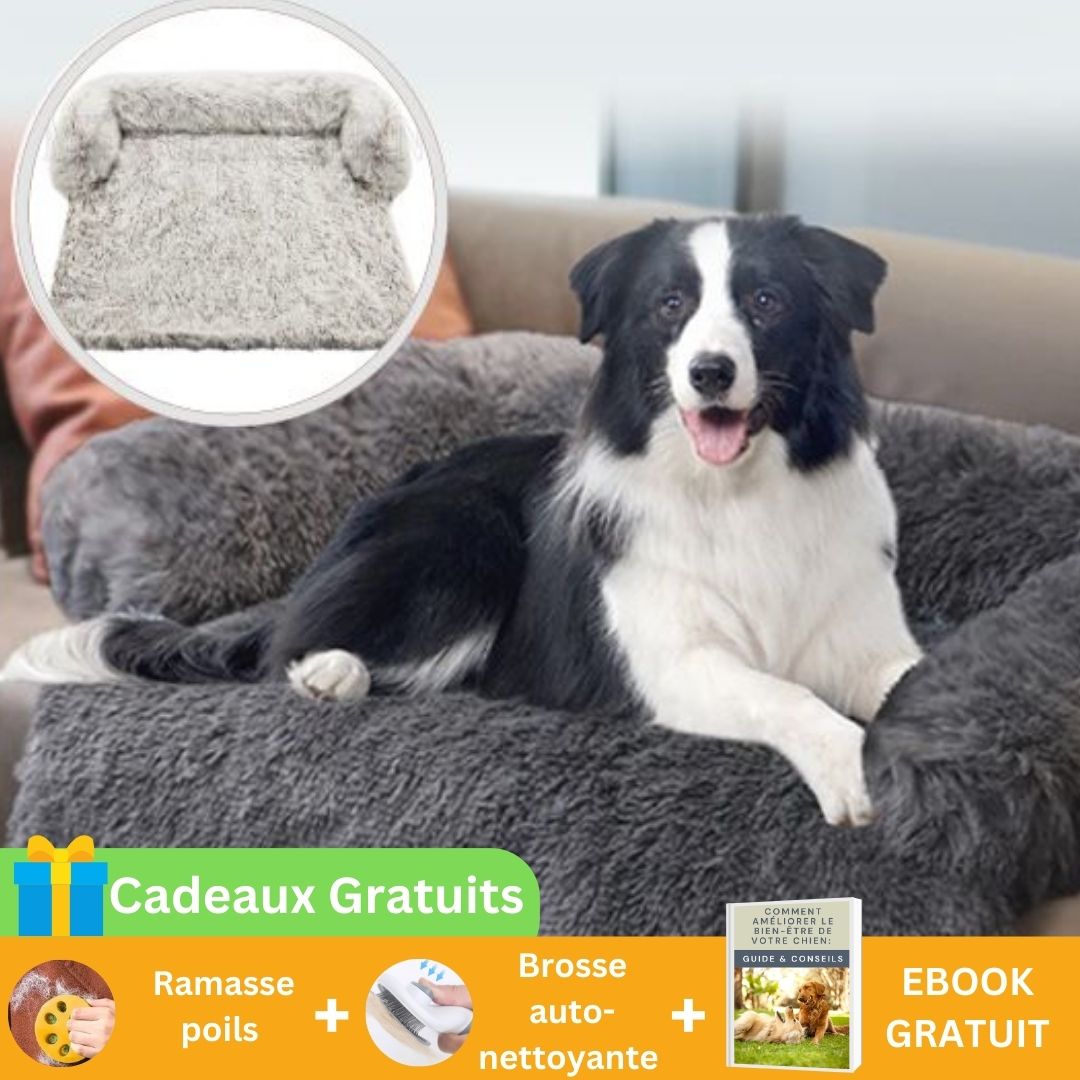 Cozy cover™ | Couverture protectrice pour chien - La bande à Milou