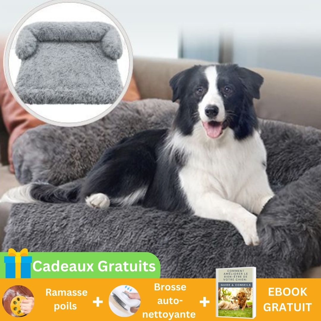 Cozy cover™ | Couverture protectrice pour chien - La bande à Milou