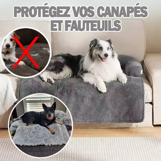 Cozy cover™ | Couverture protectrice pour chien