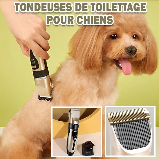 Tondeuse pour chien - Or - La bande à Milou