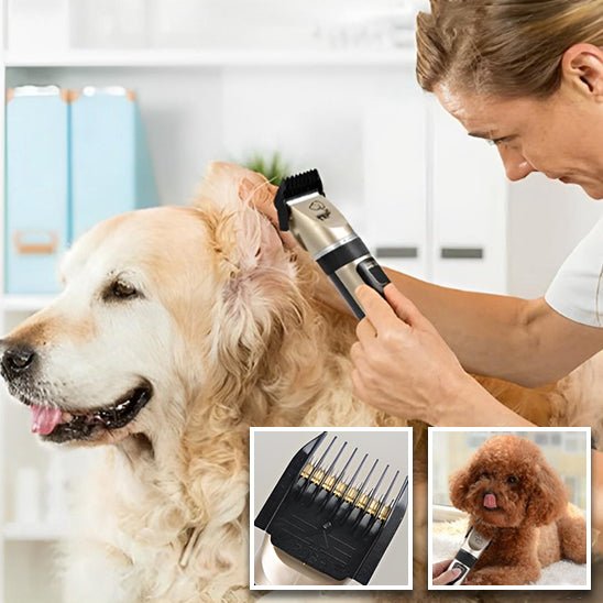 Tondeuse pour chien - Or - La bande à Milou