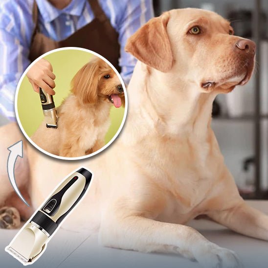 Tondeuse pour chien - Or - La bande à Milou
