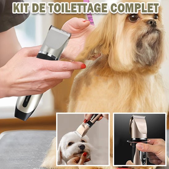Tondeuse pour chien - Or - La bande à Milou
