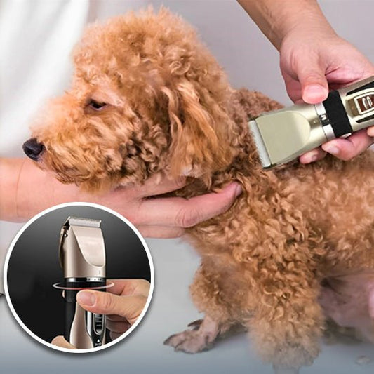 Tondeuse pour chien - Or - La bande à Milou